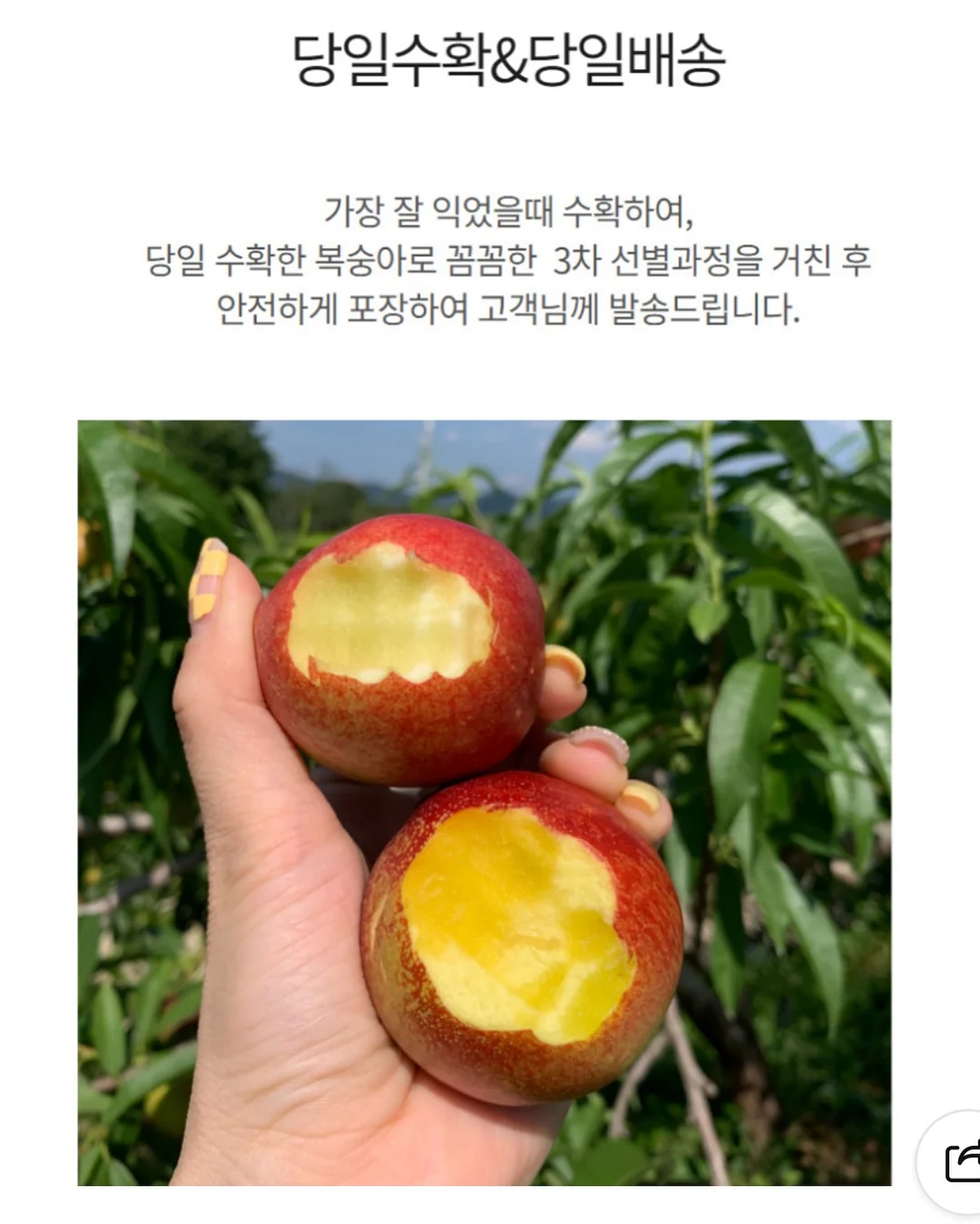 유니클로 브라탑 13