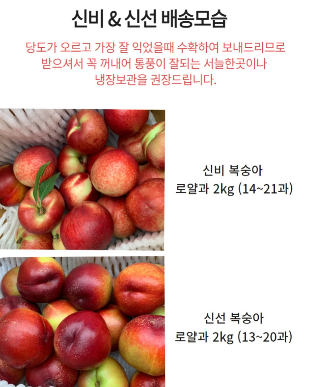 유니클로 브라탑 14