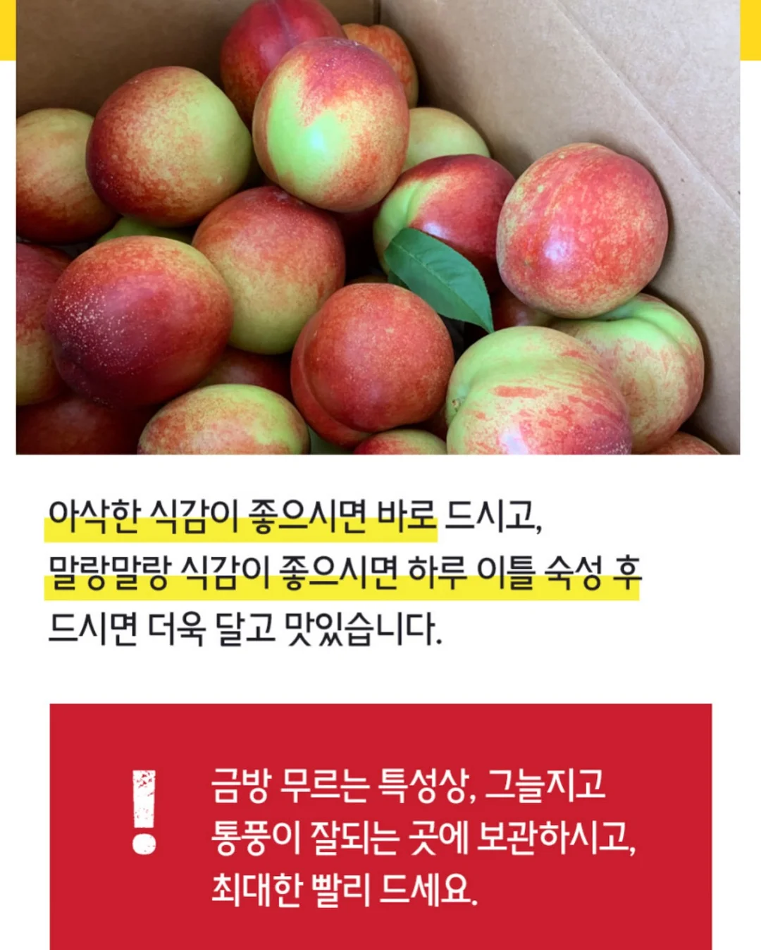 유니클로 브라탑 15