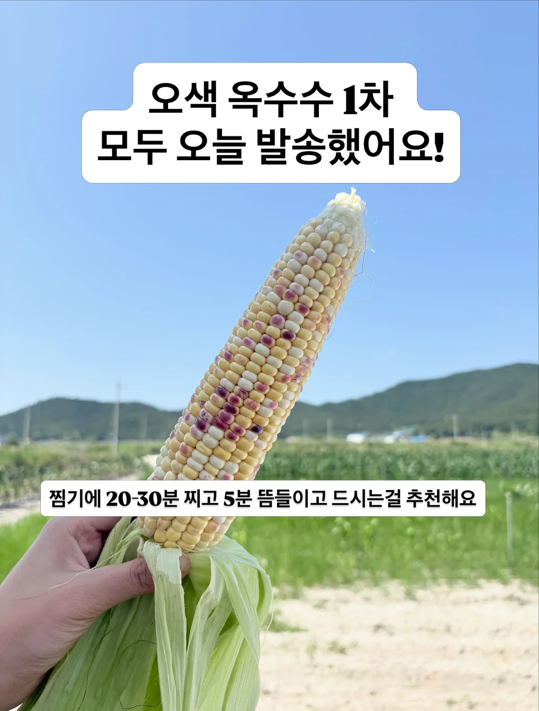 아우슈비츠의 무용수 2