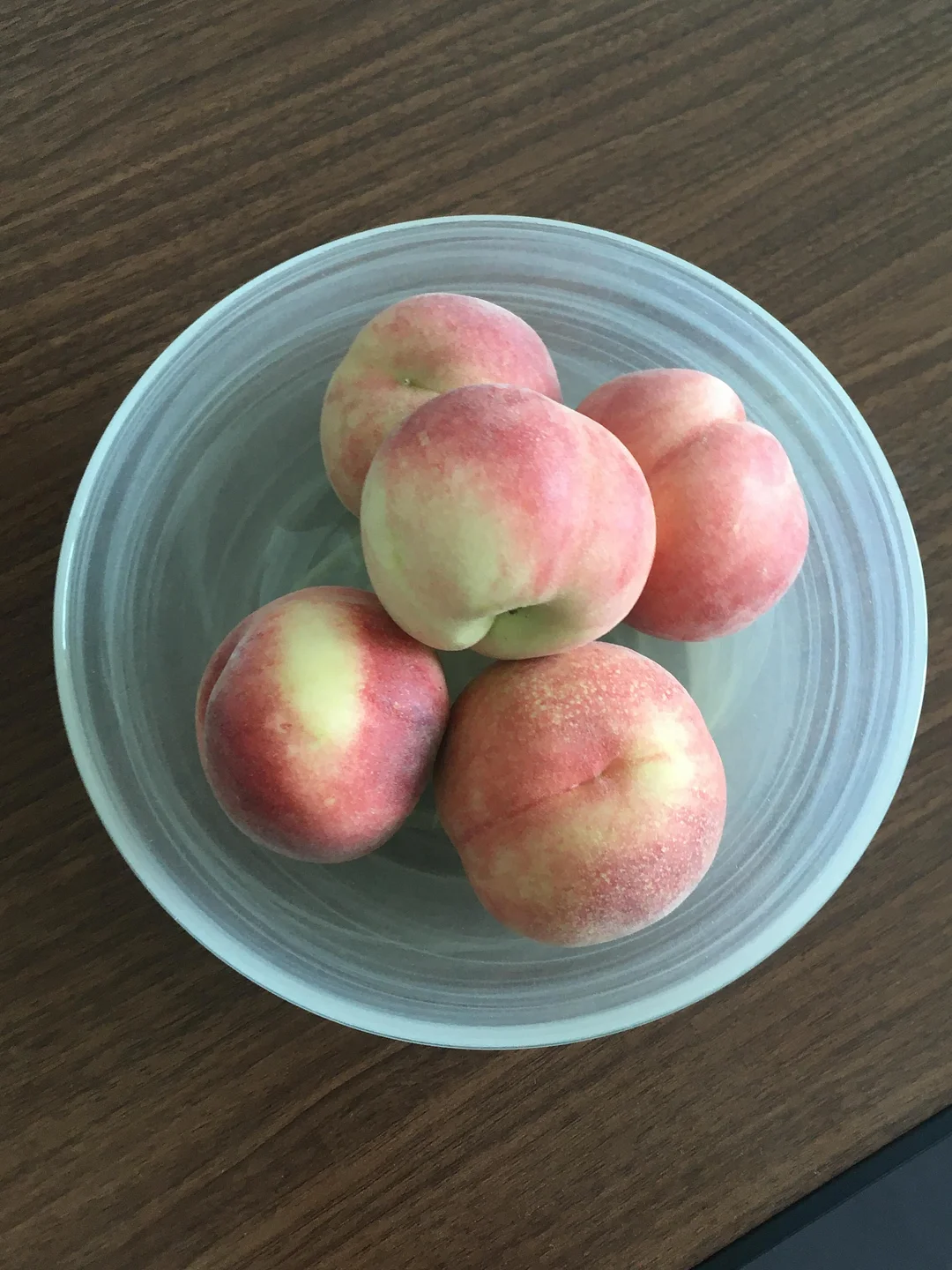포켓 돗자리 1