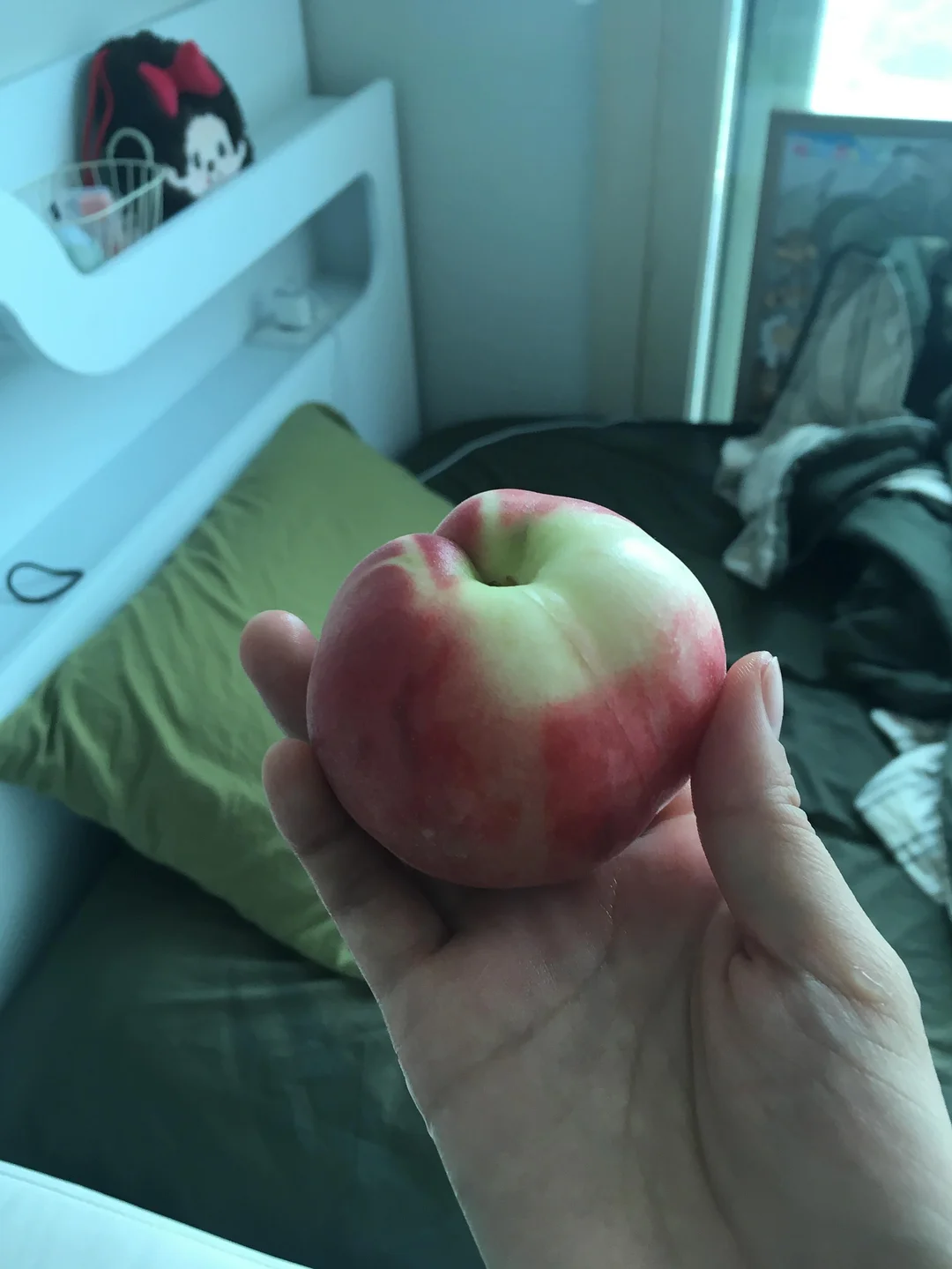 포켓 돗자리 4