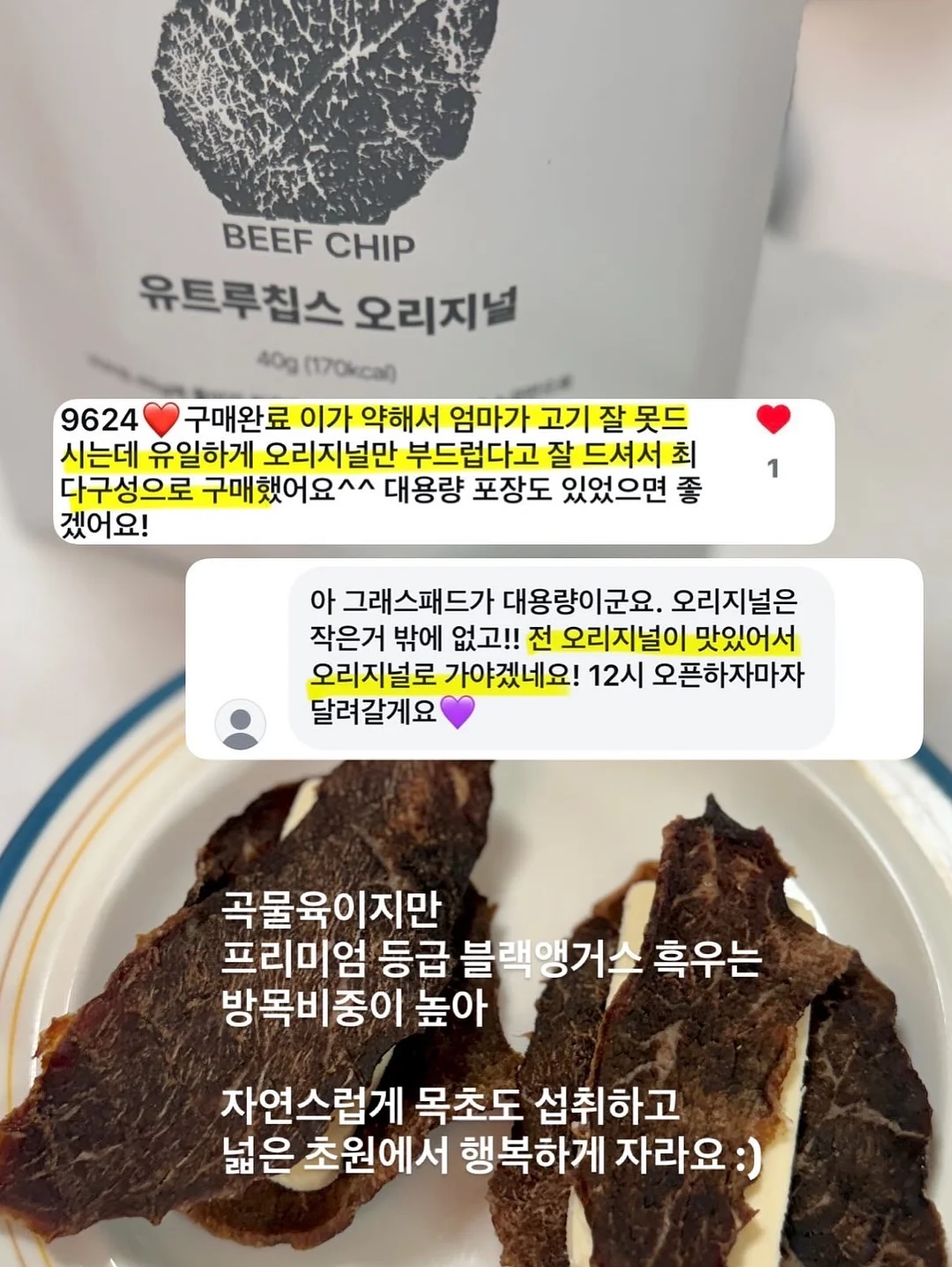 스완두 마리5 메쉬 회전형 카시트 4