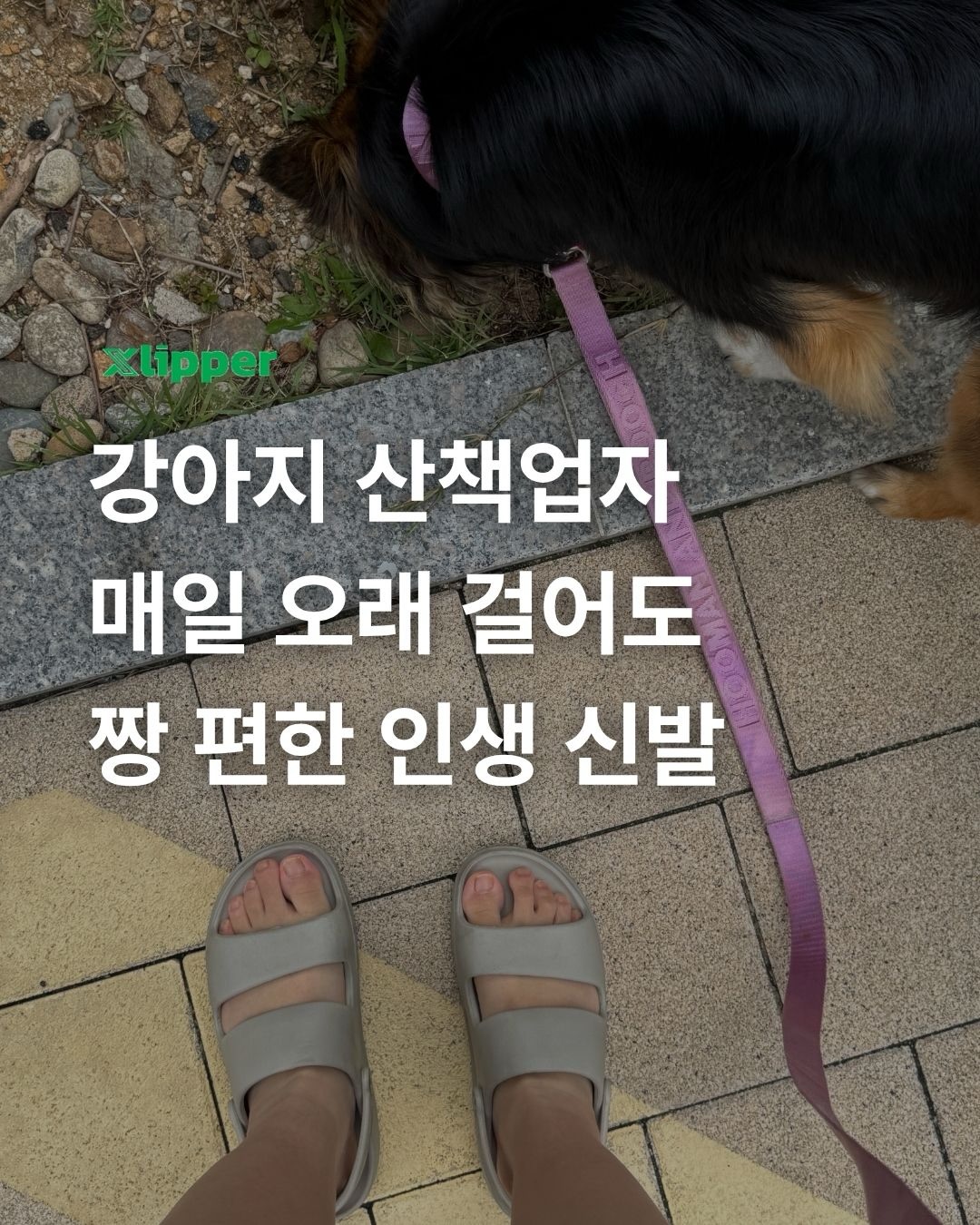수능수학 기출해설집 1