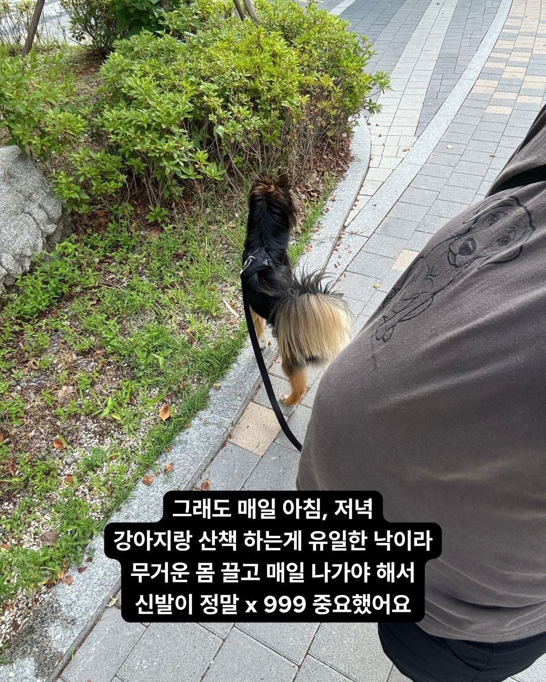 수능수학 기출해설집 3