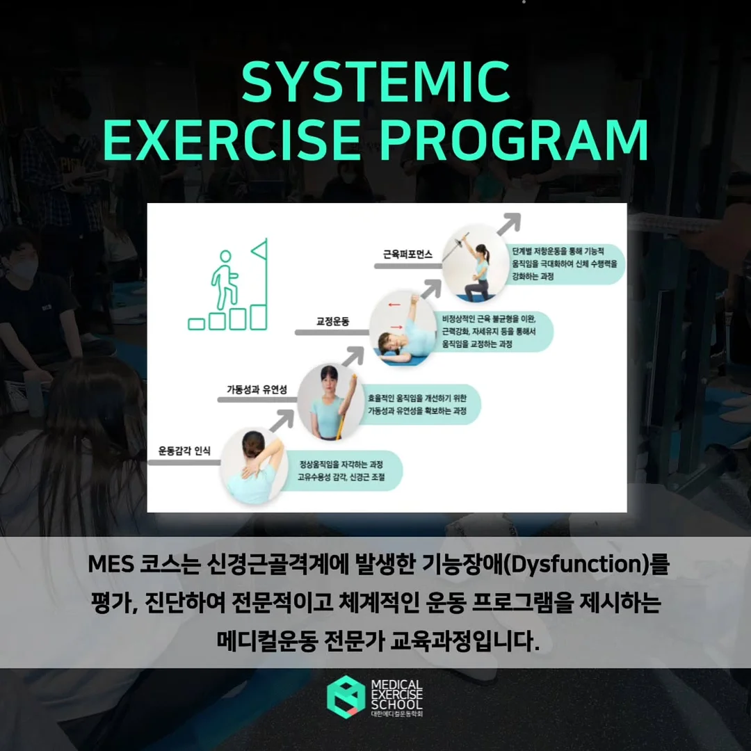 야구장 관중석 프롬프트 4