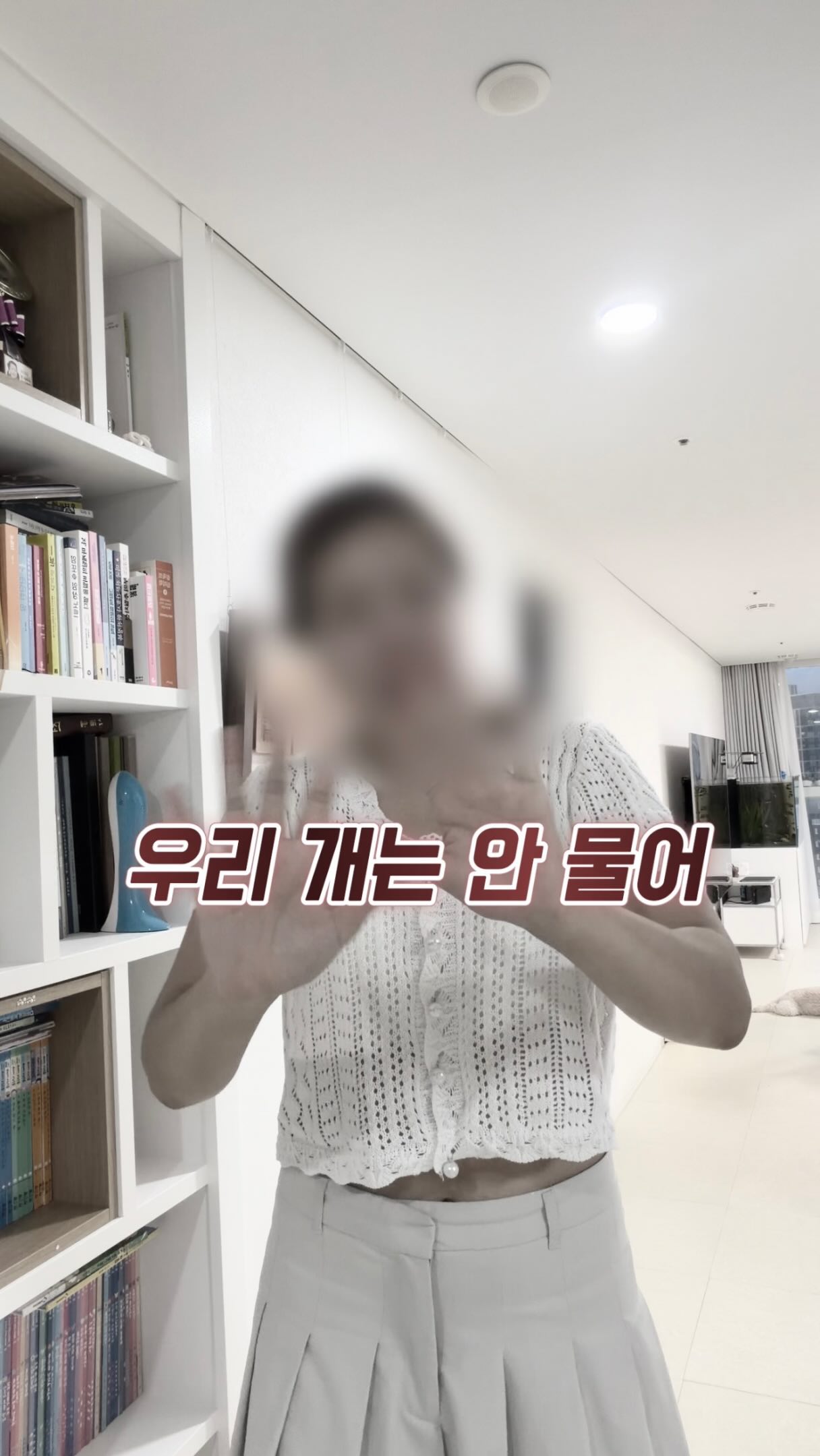 물기 흡수 행주