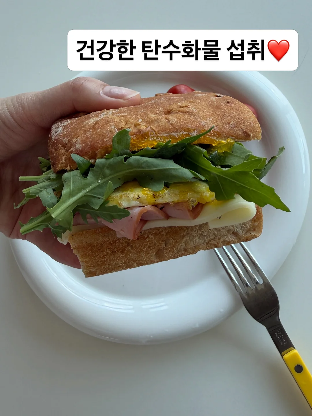 그림으로 개념 잡는 초등 수학 6