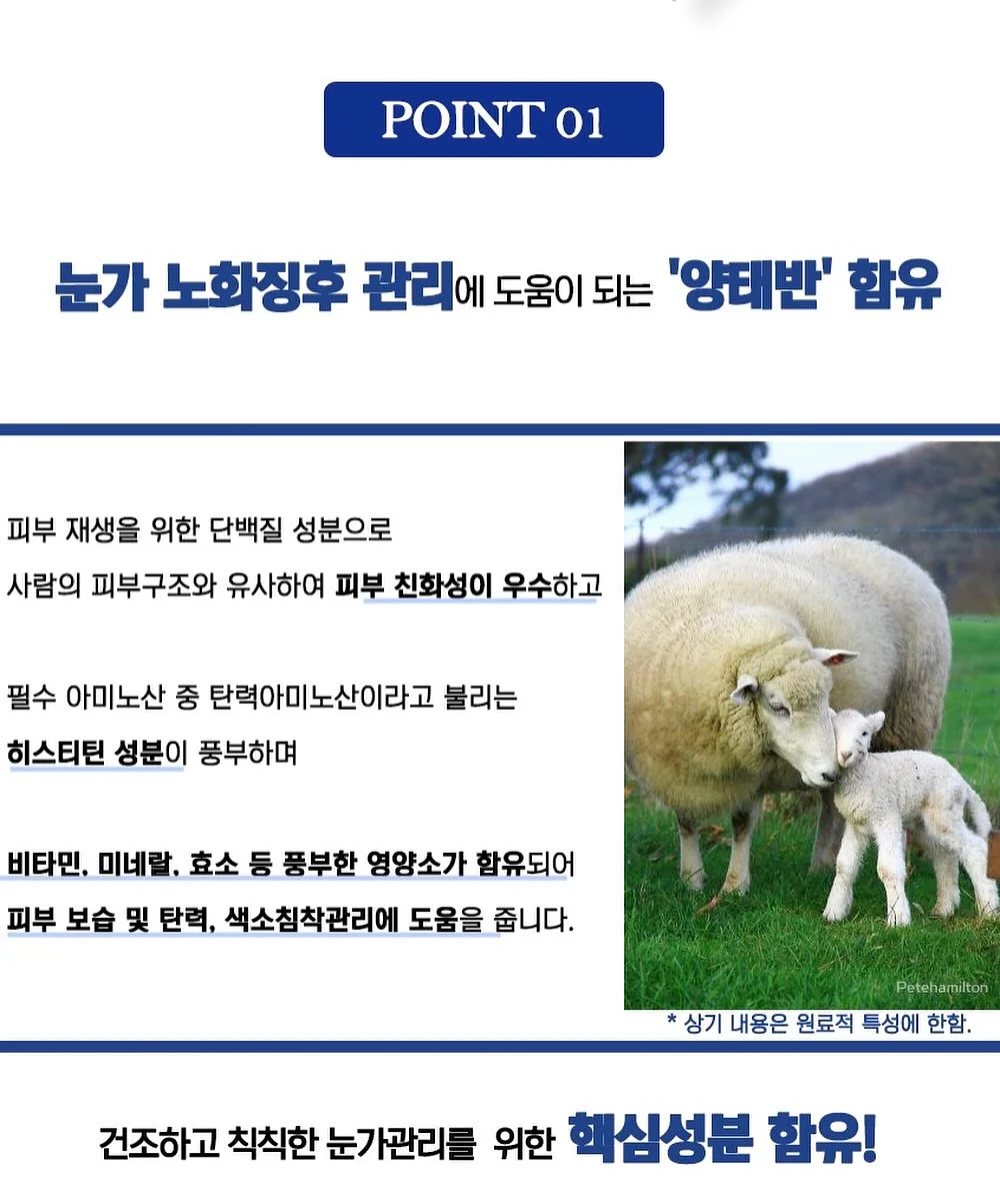 냥 작가의 상담소 시리즈 4