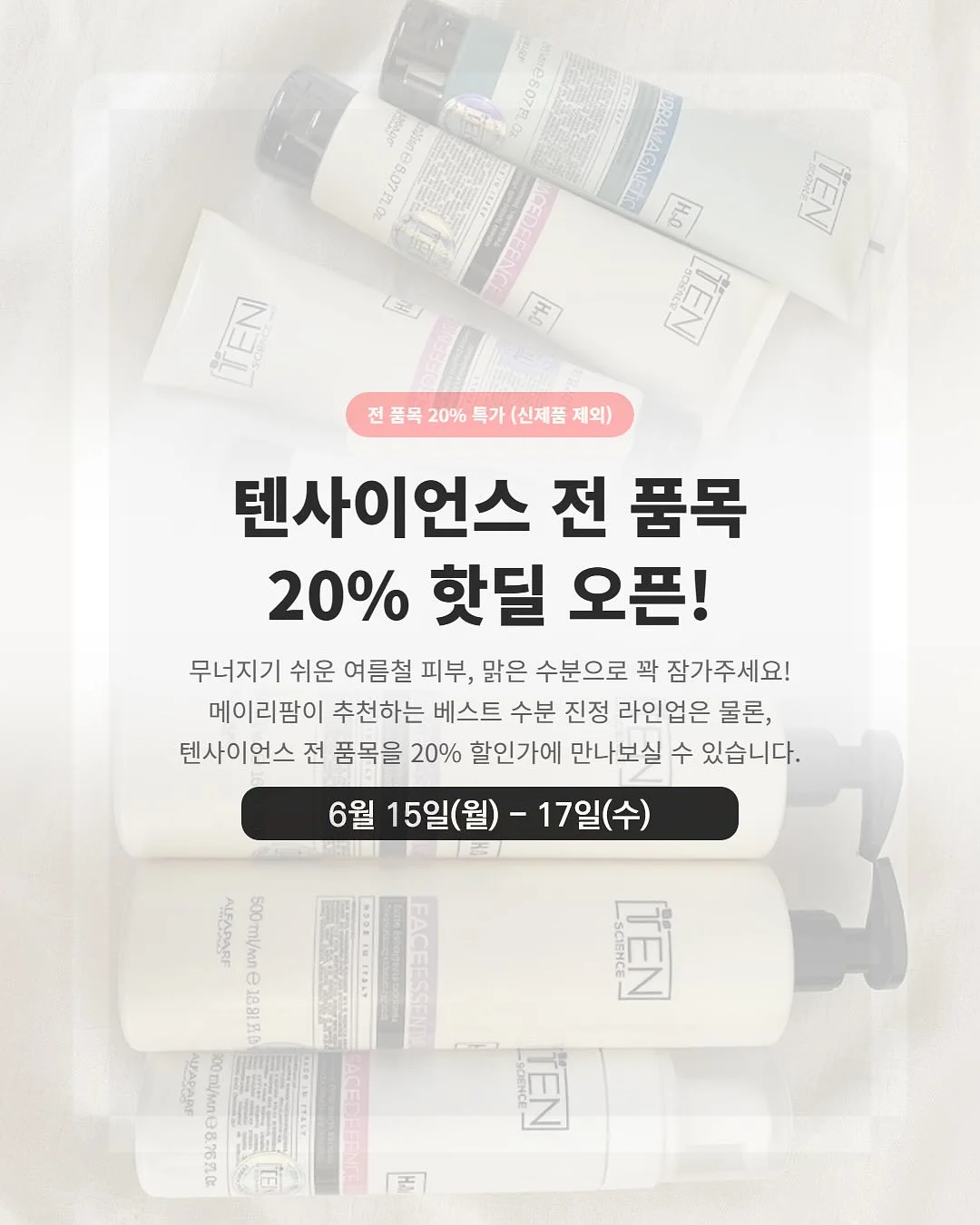 여름 지지미고쟁이&쫀쫀모달티 1