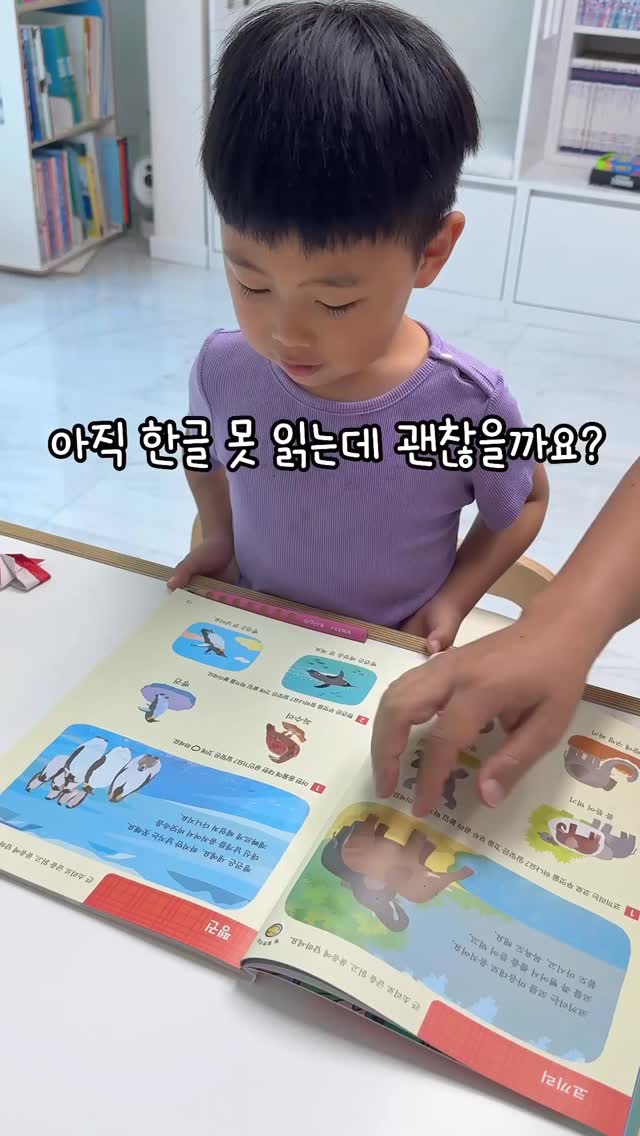 초보용 다육이