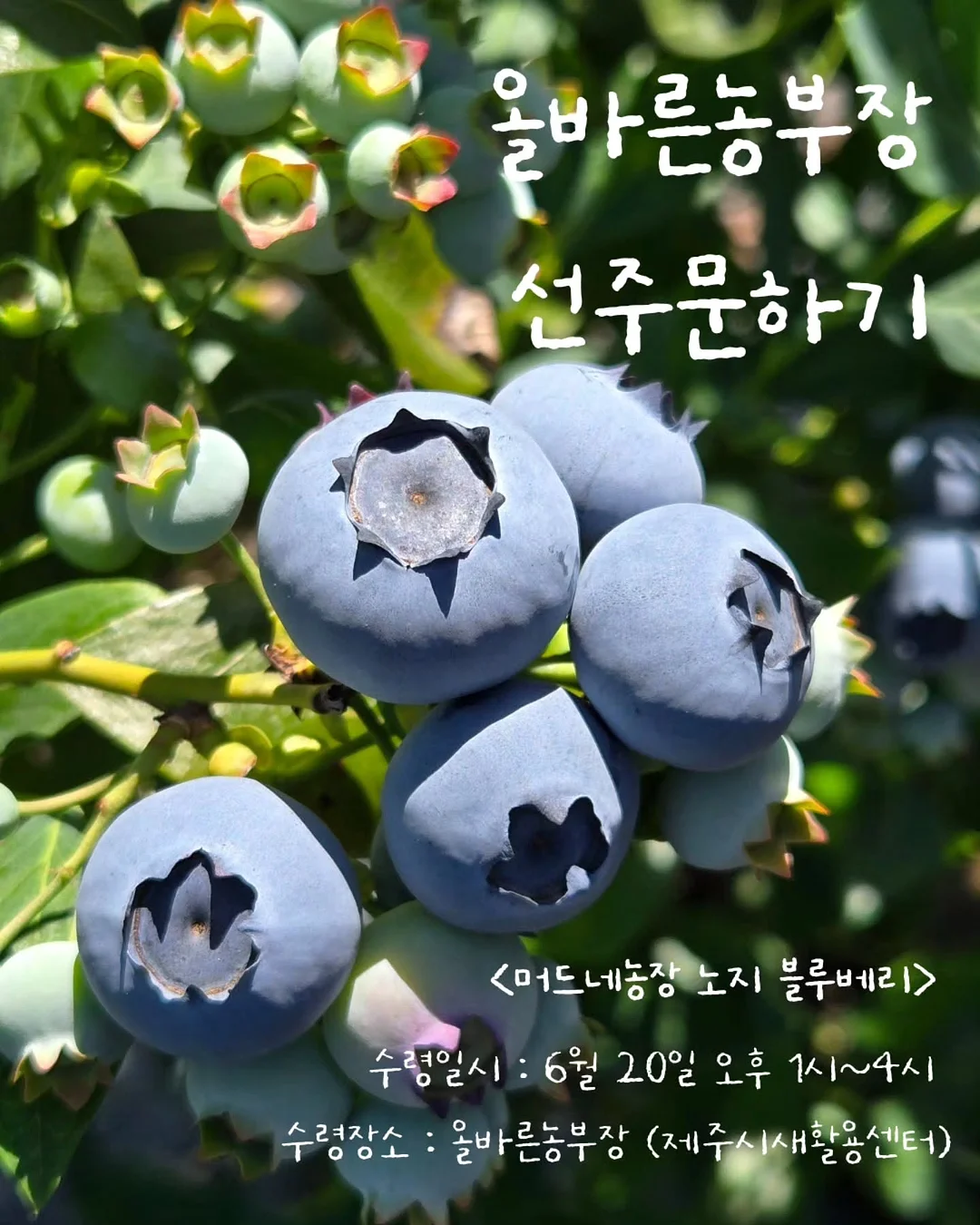 아기 물병 1