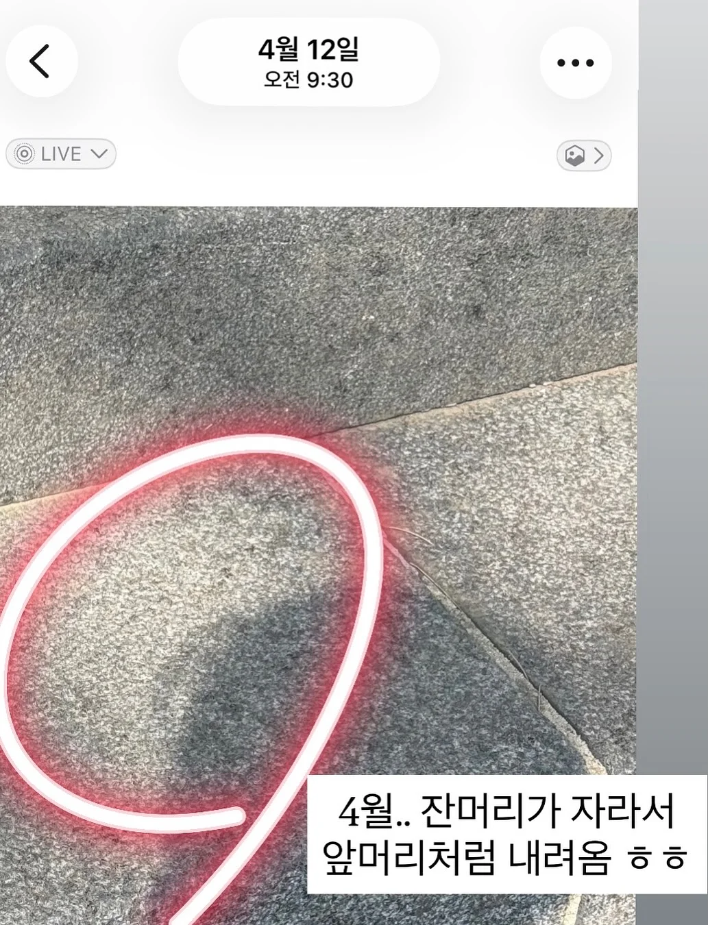 모나카 견과칩 5