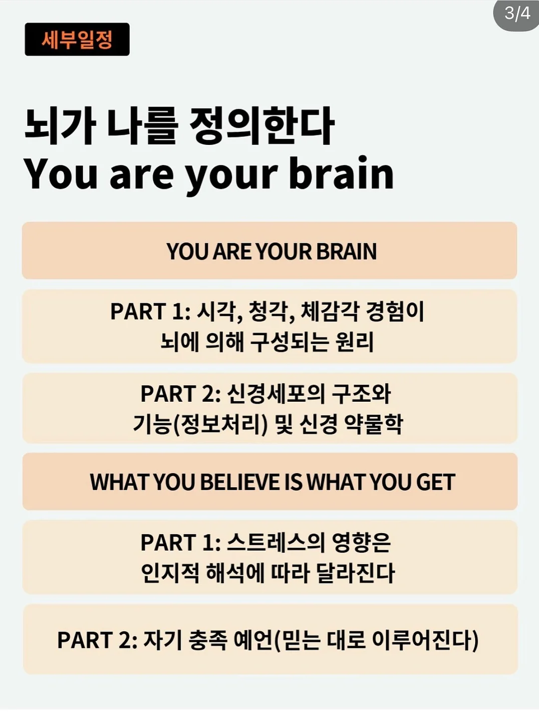 하이엔드 아비투스 3