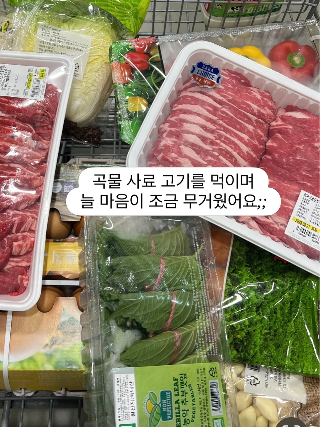 디올 기프트 제안 4