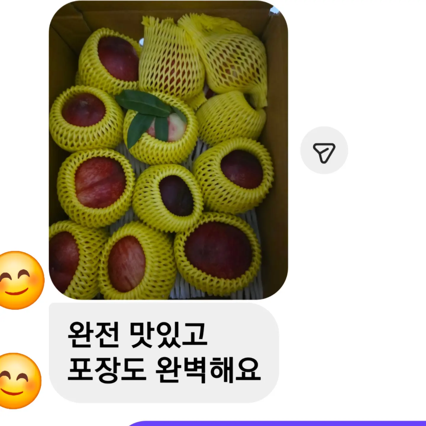 햇완두콩 부라타 샌드위치 9