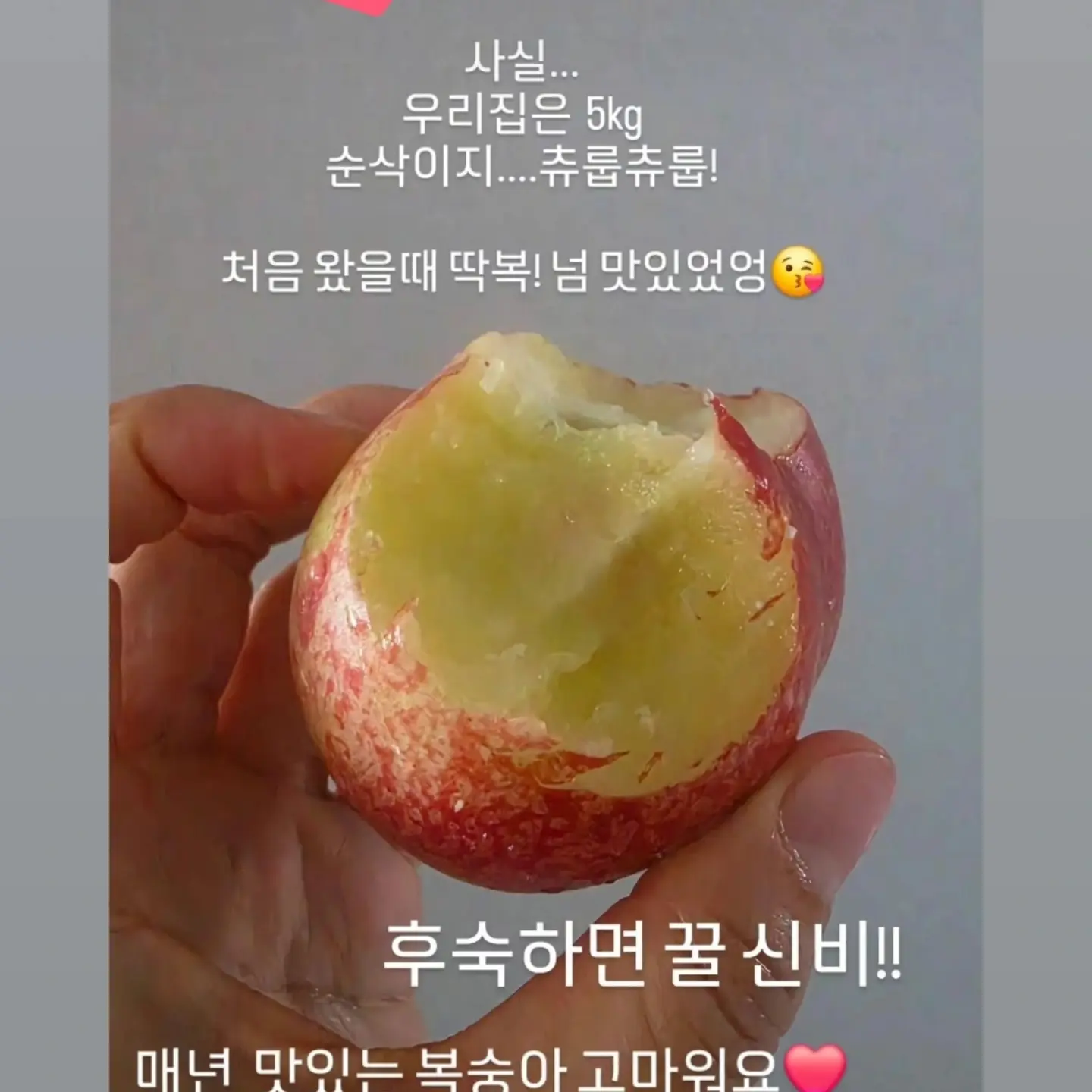 햇완두콩 부라타 샌드위치 10