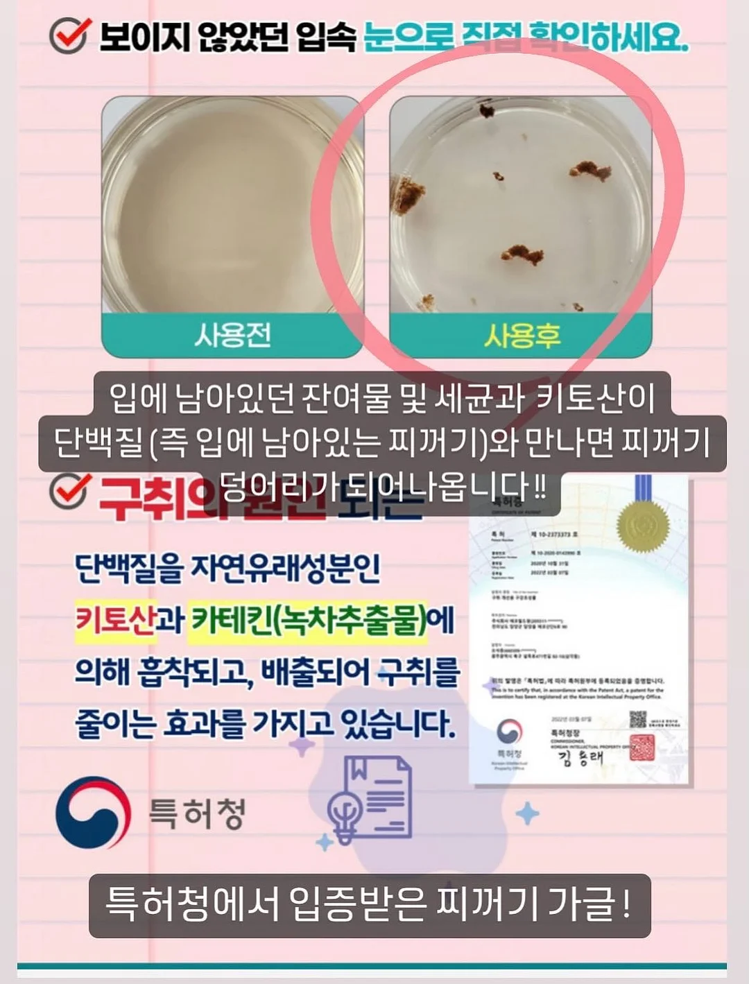 코스트코 연어 1.3kg 10