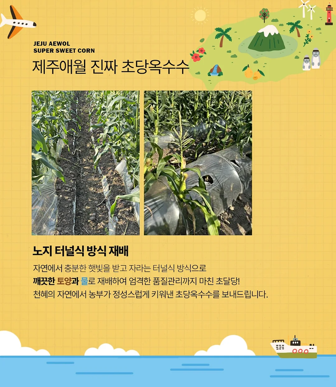 베란다 수납 선반 11