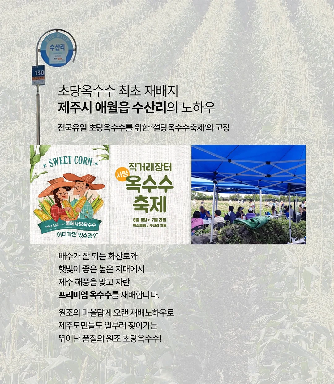 베란다 수납 선반 12