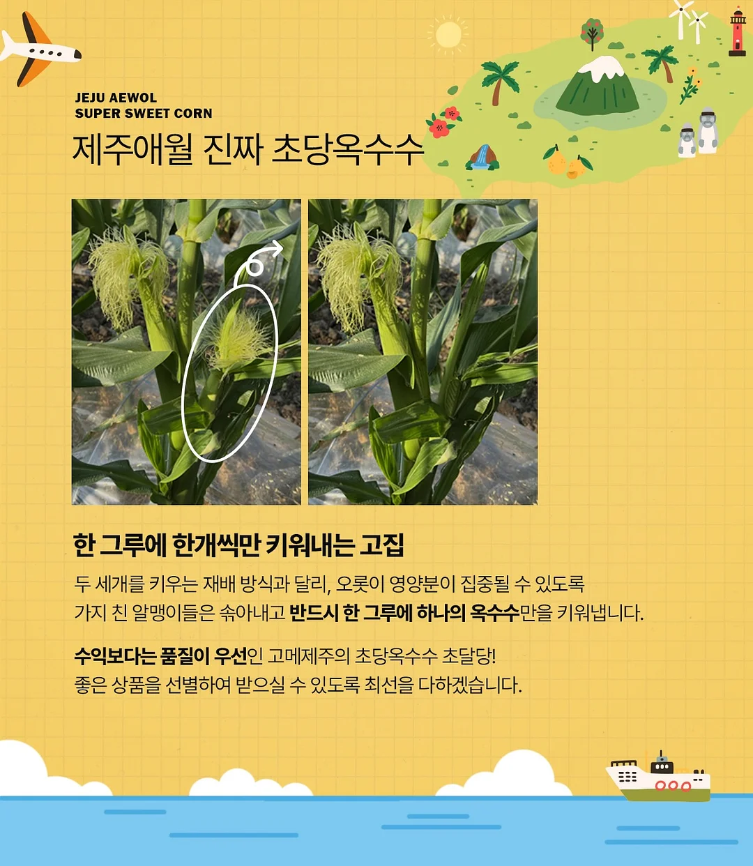 베란다 수납 선반 13
