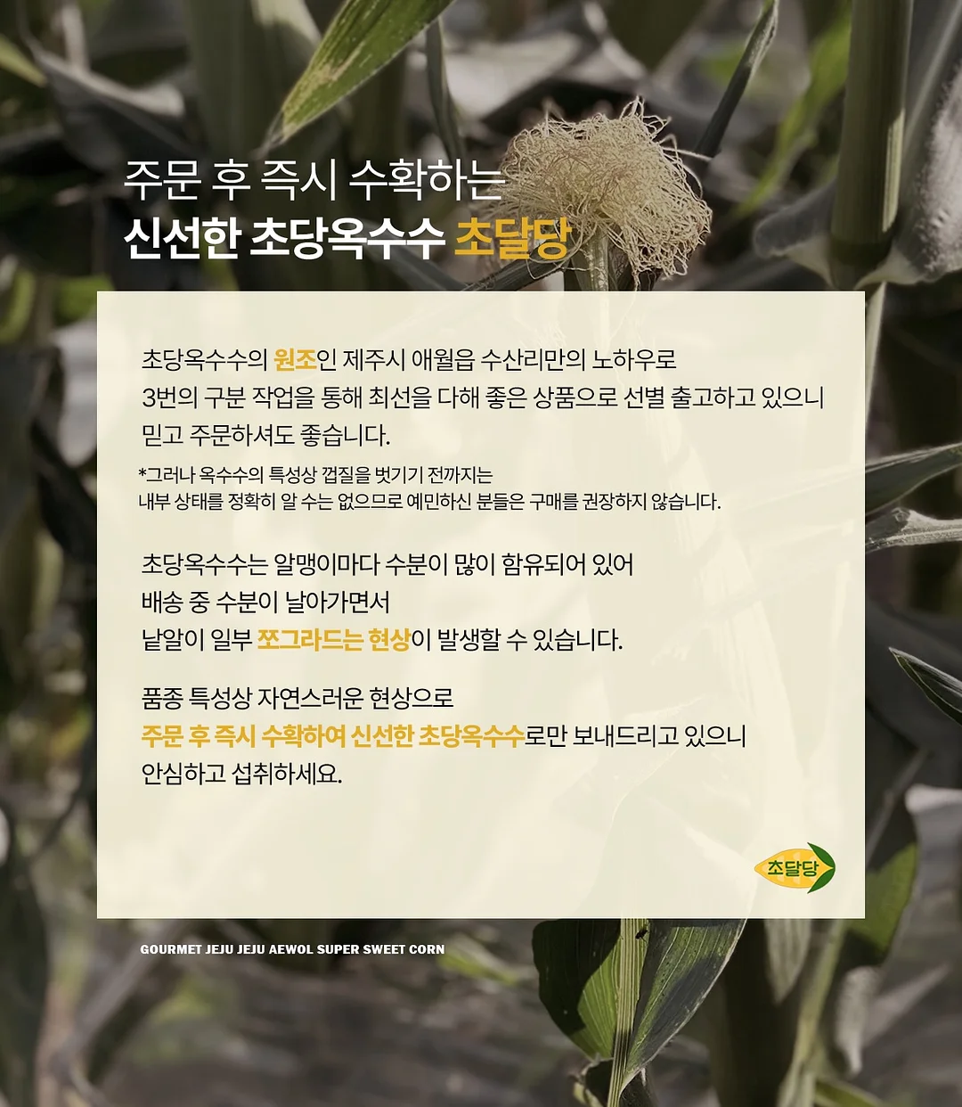 베란다 수납 선반 15