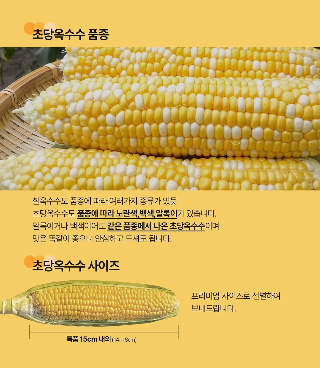 베란다 수납 선반 3