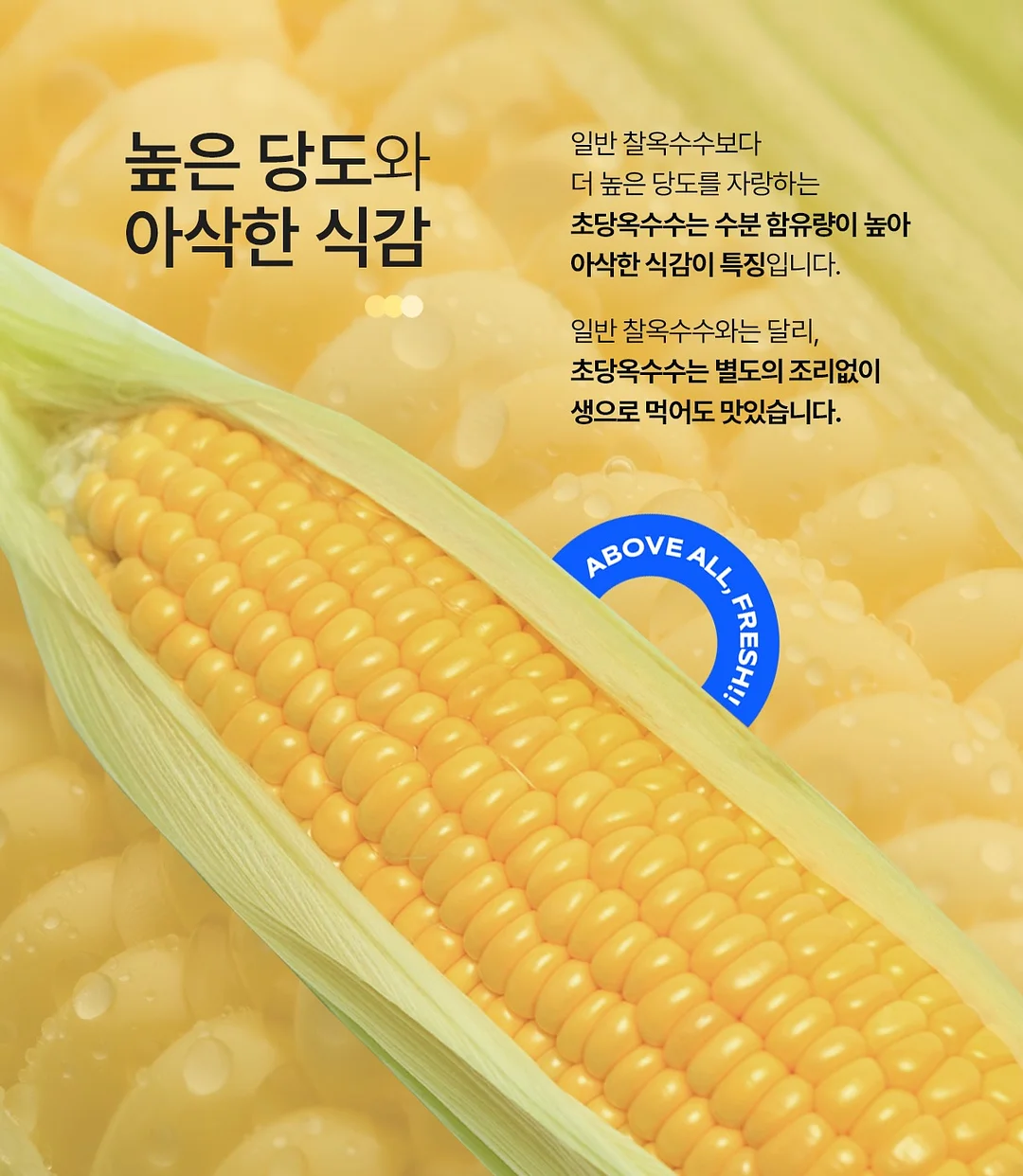 베란다 수납 선반 9