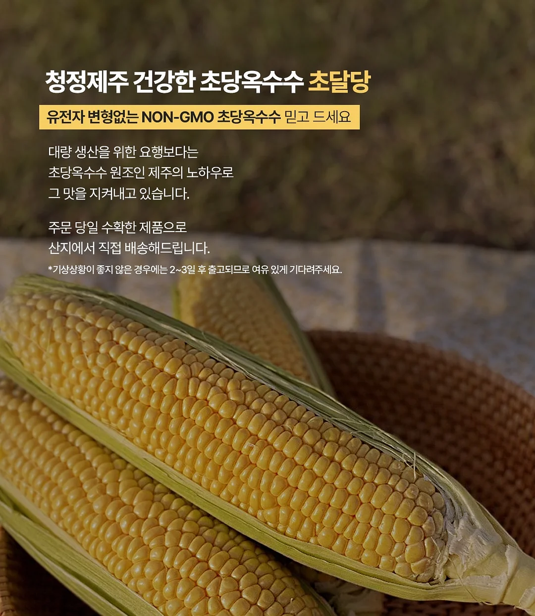 베란다 수납 선반 10