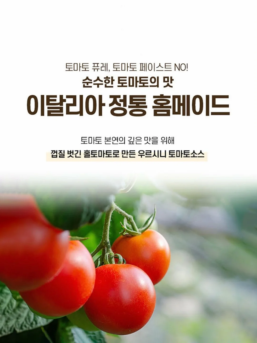 명란시대 저염명란 4