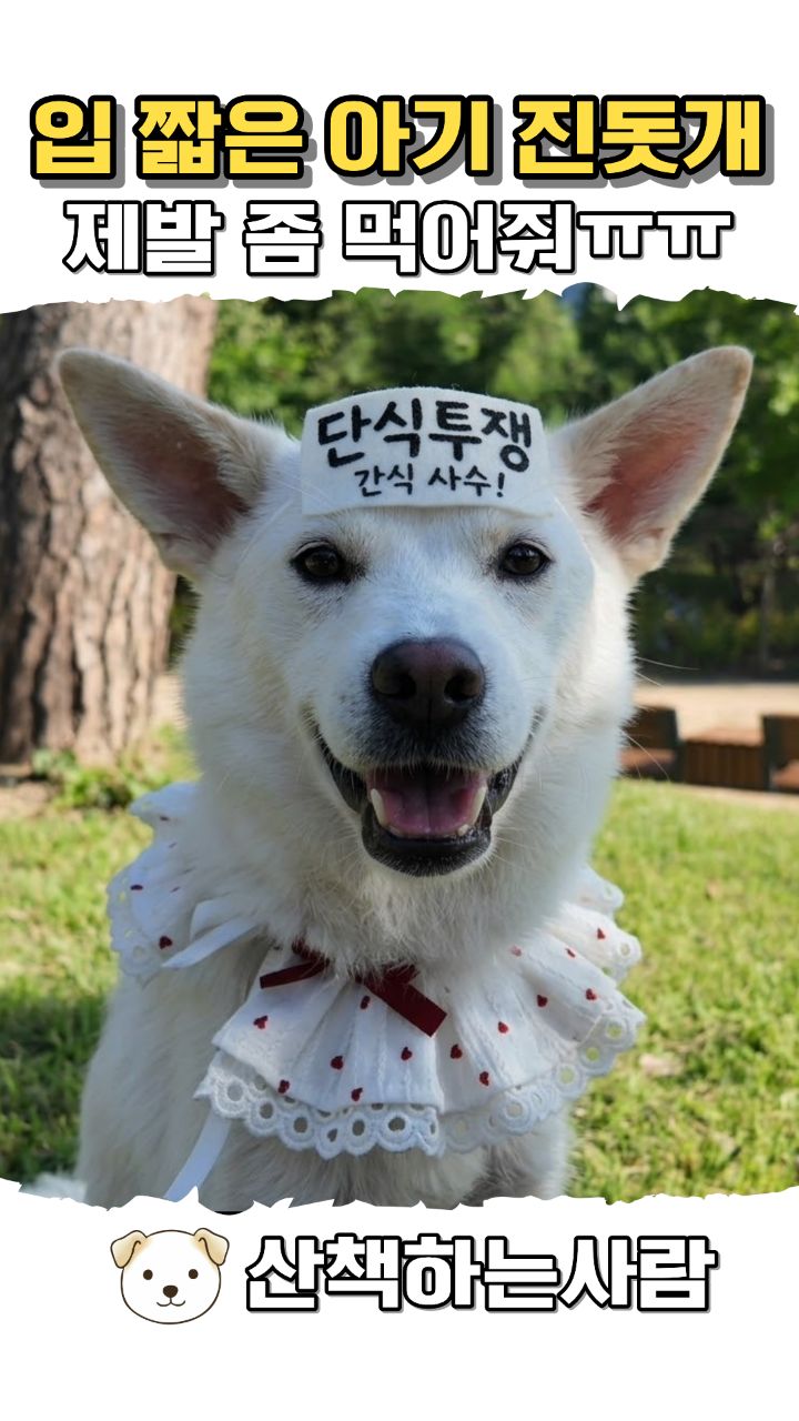 발 루틴 고정형 볼
