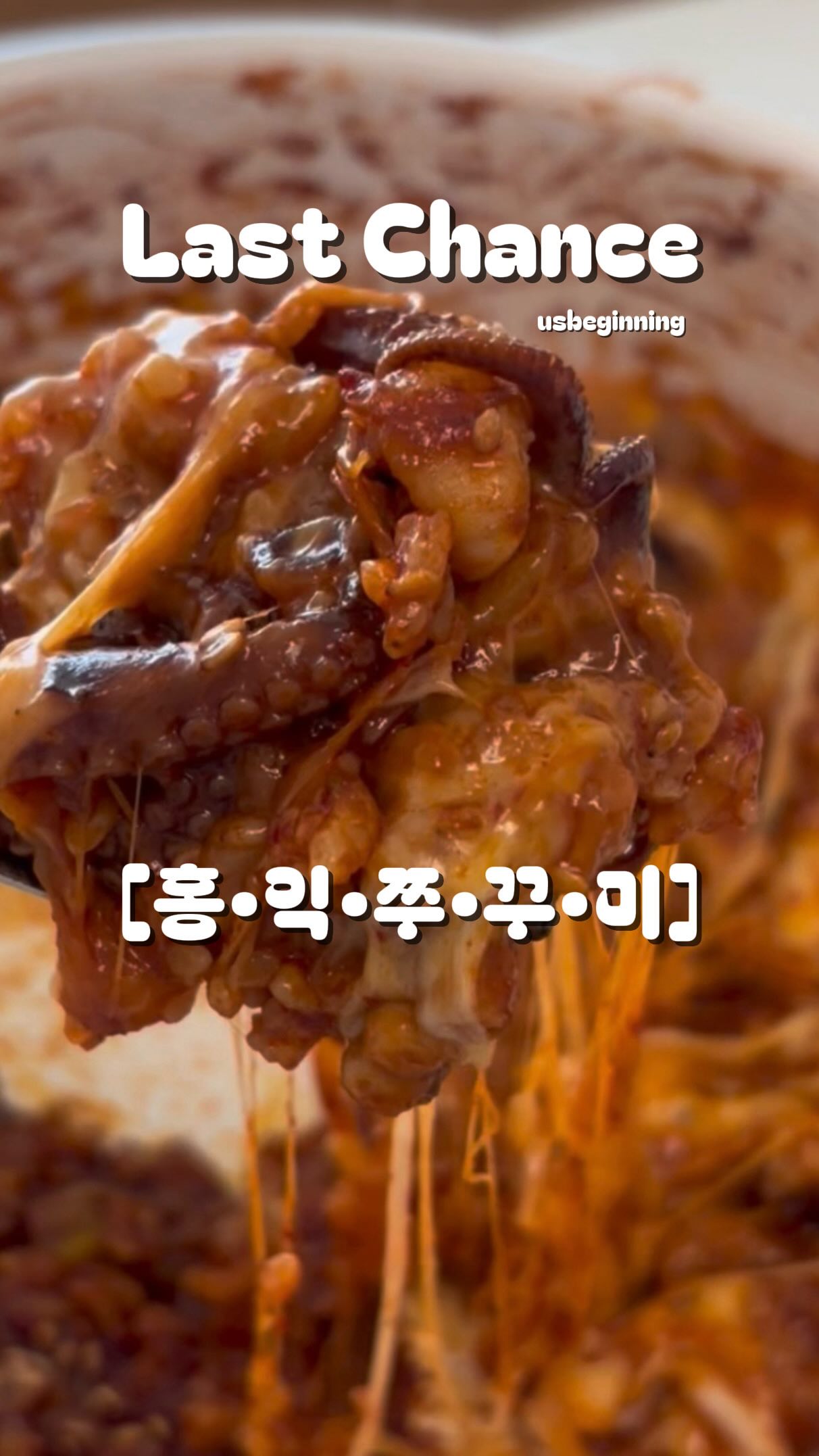 TWL 부채