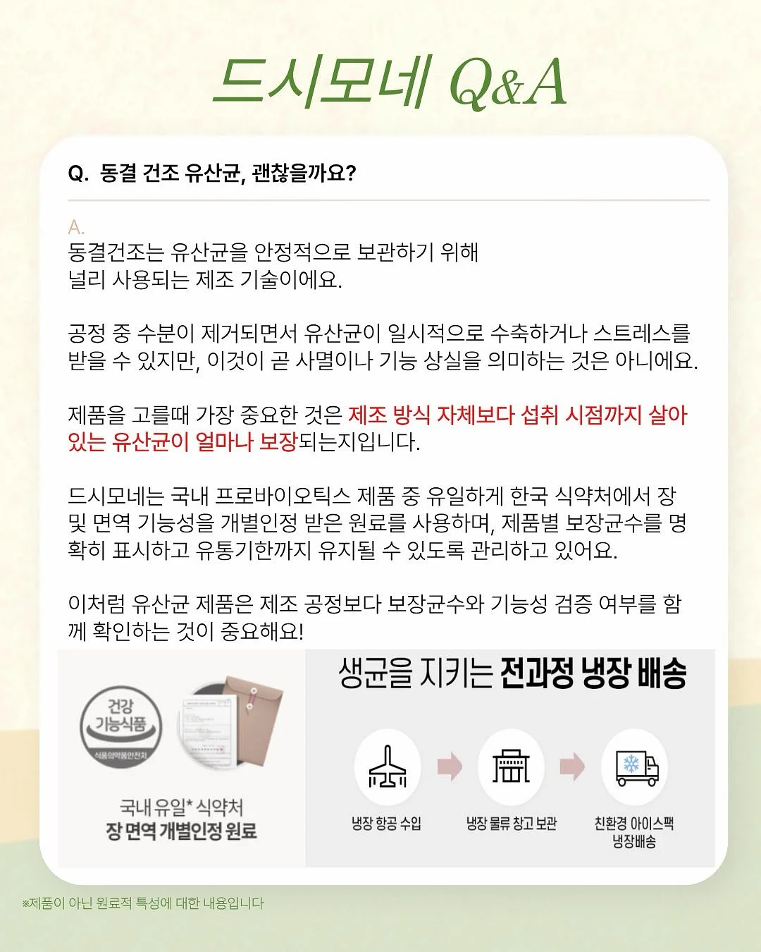아르마토레 엔초비 빵가루 4