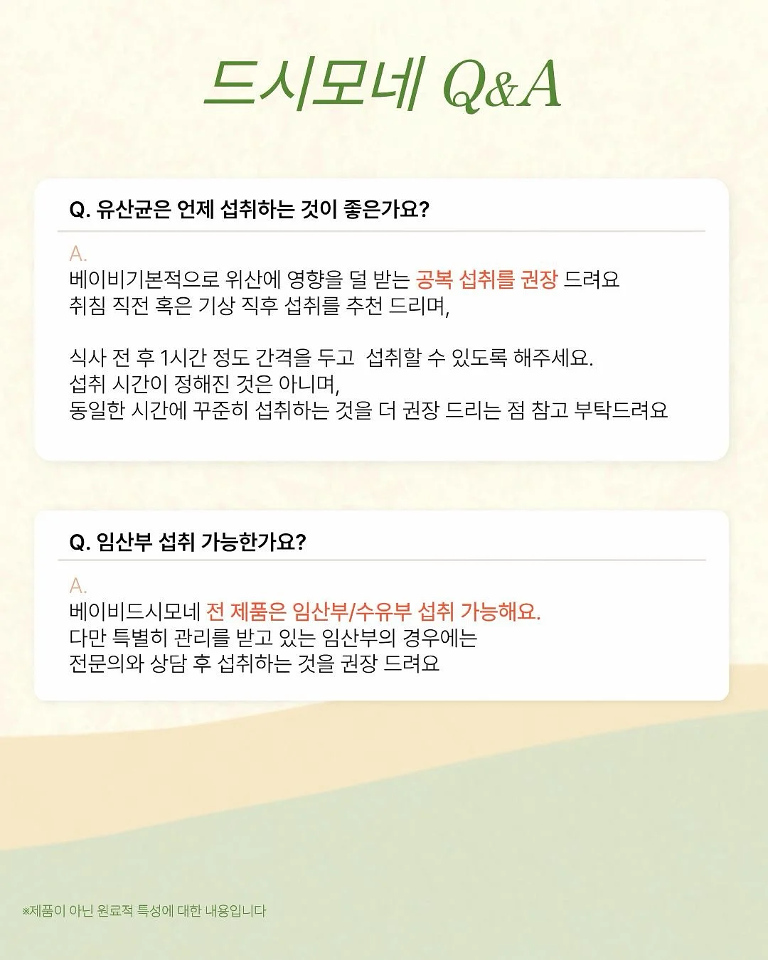 아르마토레 엔초비 빵가루 9
