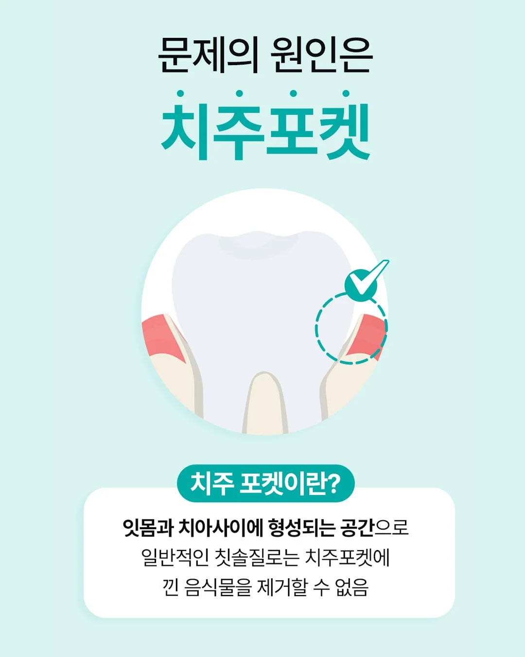 김성은 최애 유산균 4