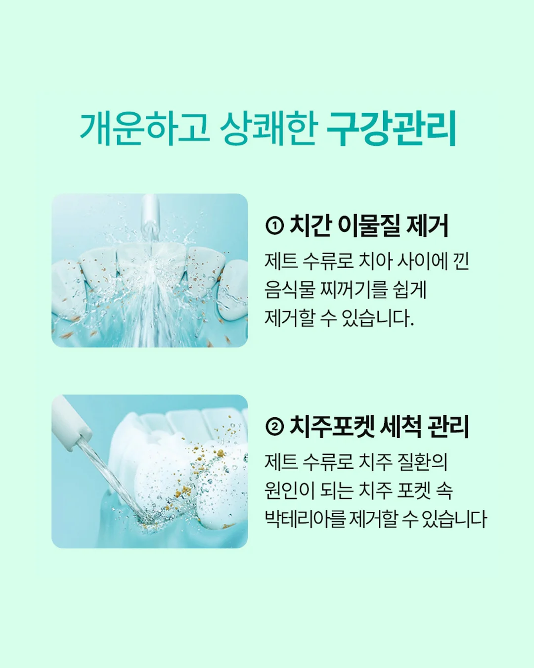 김성은 최애 유산균 7