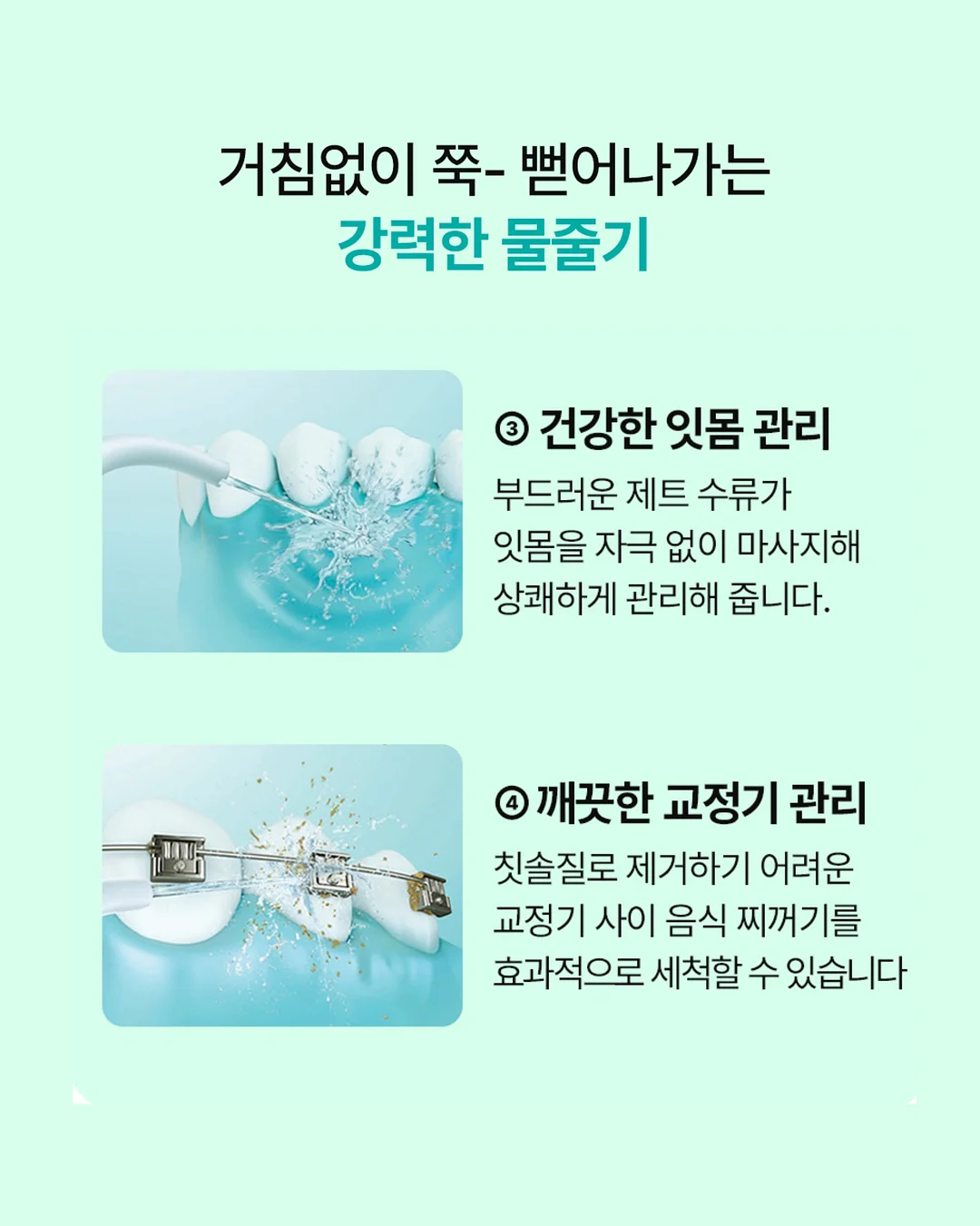김성은 최애 유산균 8