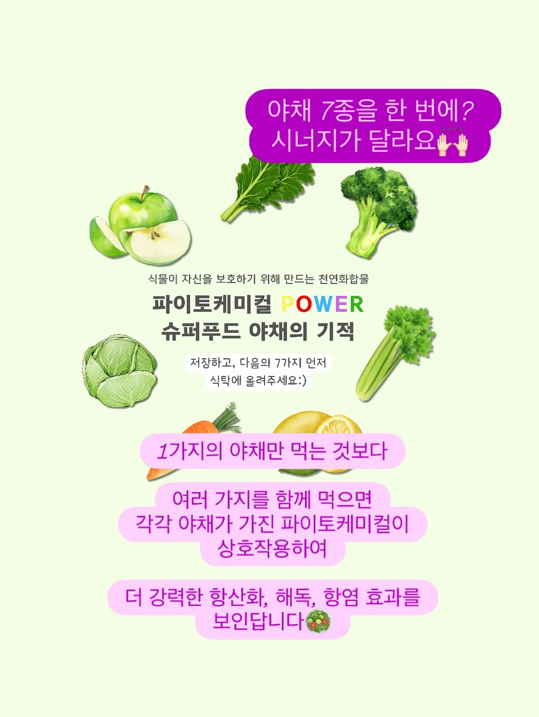 헬리녹스 네이버후드 협업 하이킹 컬렉션 5