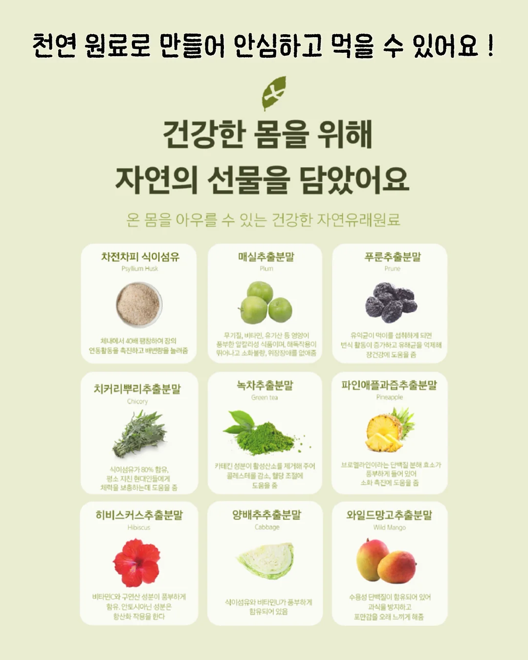 쿨 썸머 드레이프 set 4