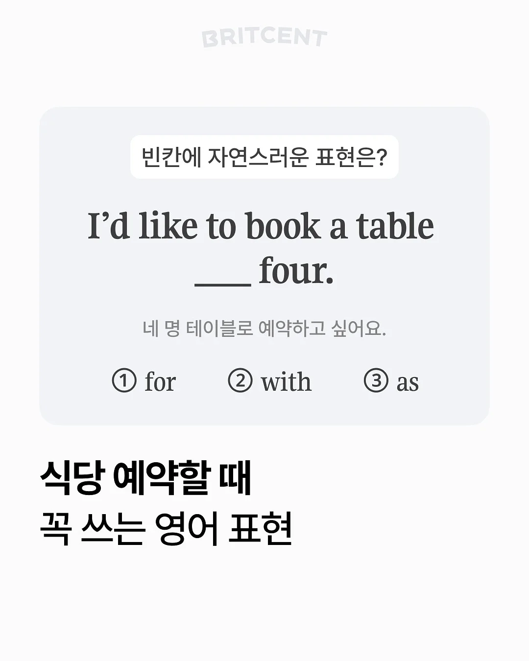 소형식물 7가지 1