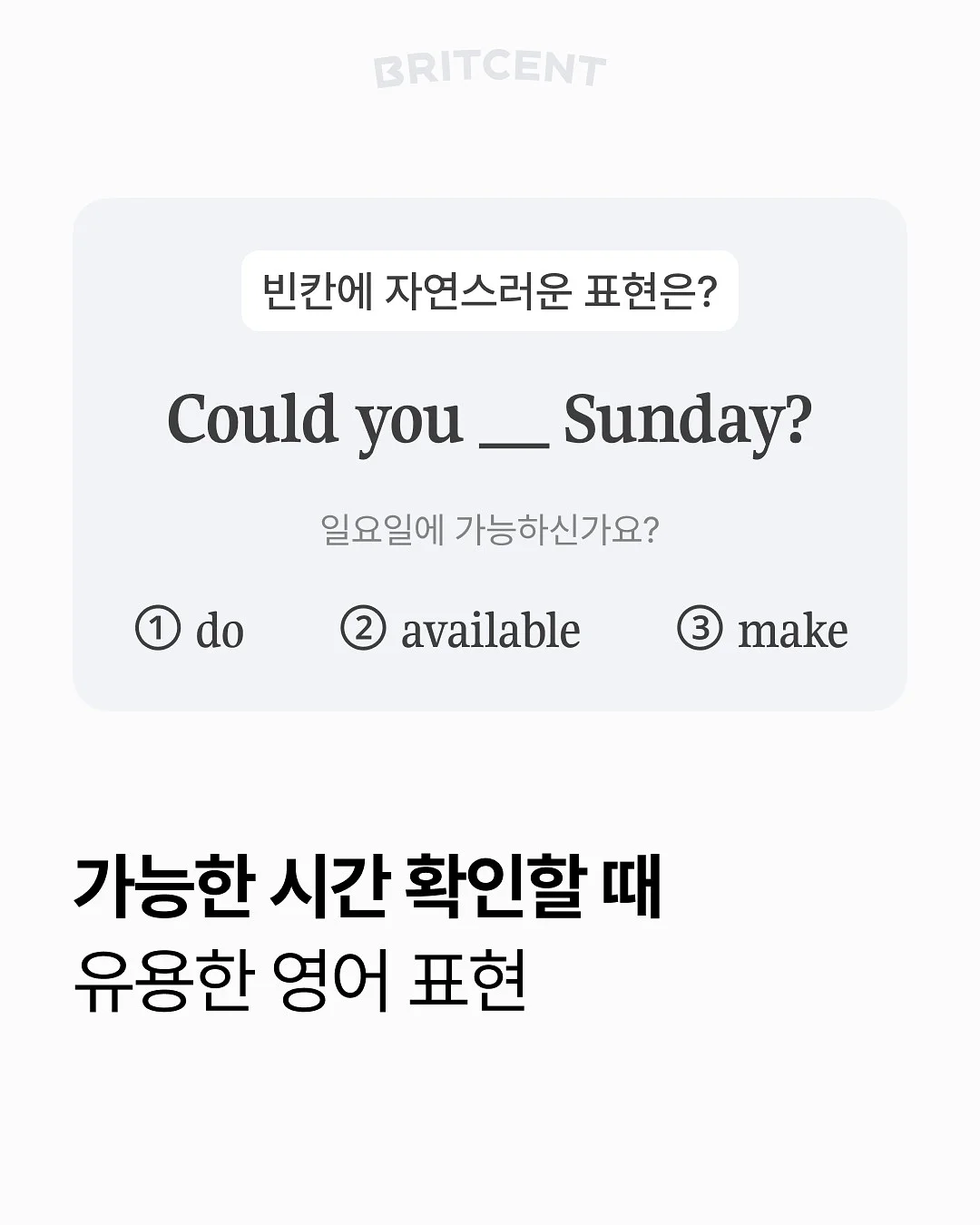 소형식물 7가지 5