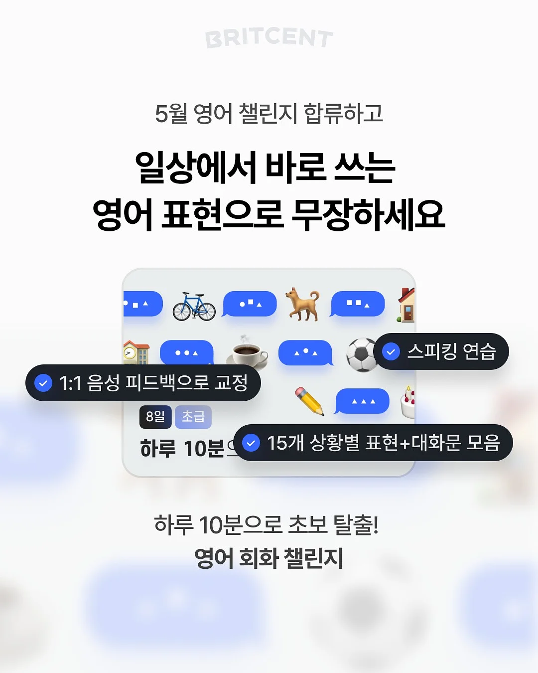 소형식물 7가지 7