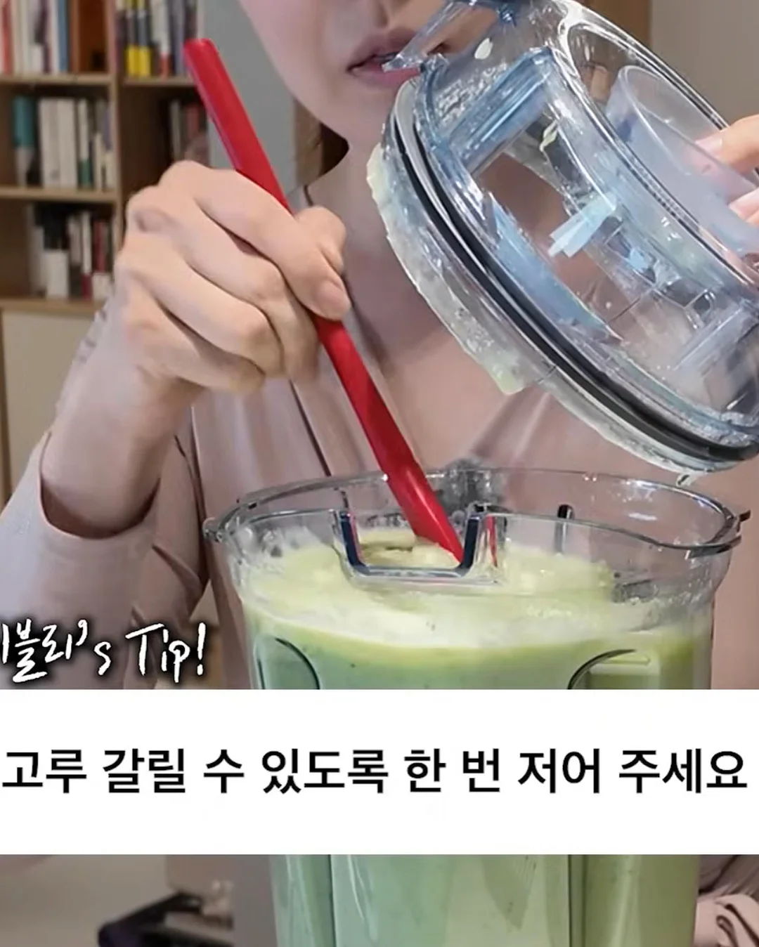 달마시안 6