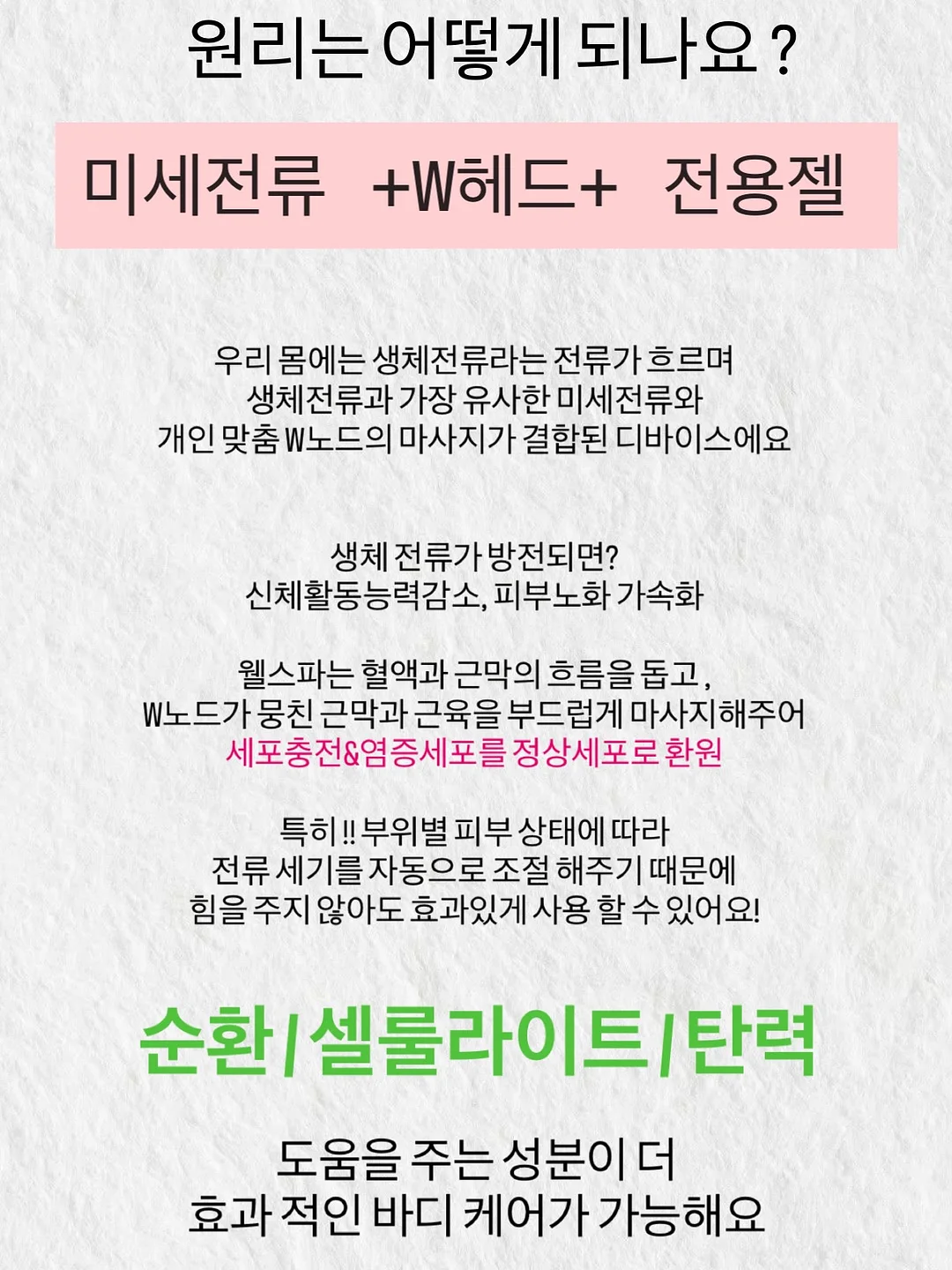 탐즈 샴푸 5
