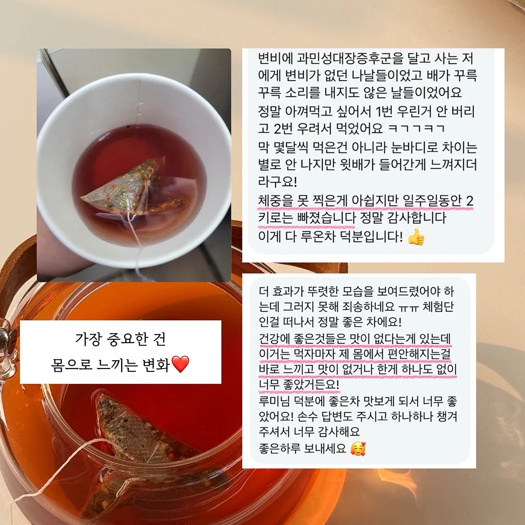강아지 전용 지정석 베개 세트 3