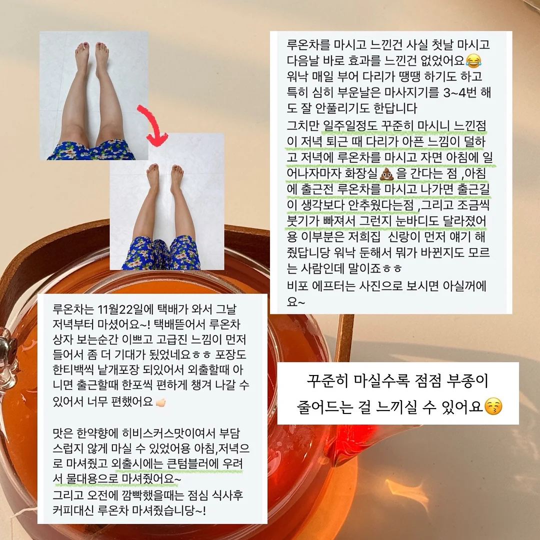 강아지 전용 지정석 베개 세트 4
