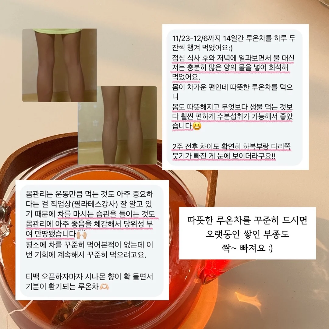 강아지 전용 지정석 베개 세트 6