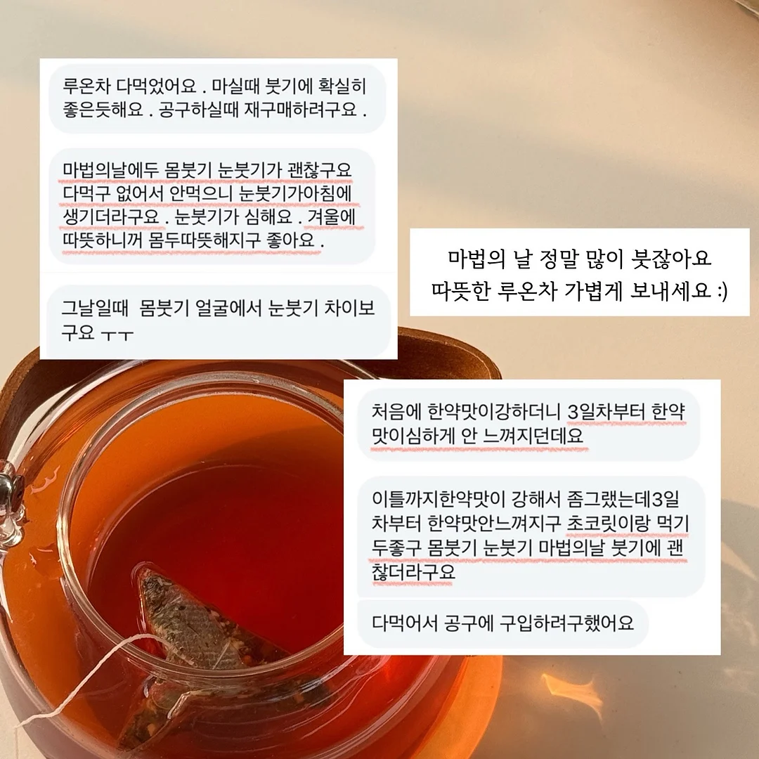 강아지 전용 지정석 베개 세트 9