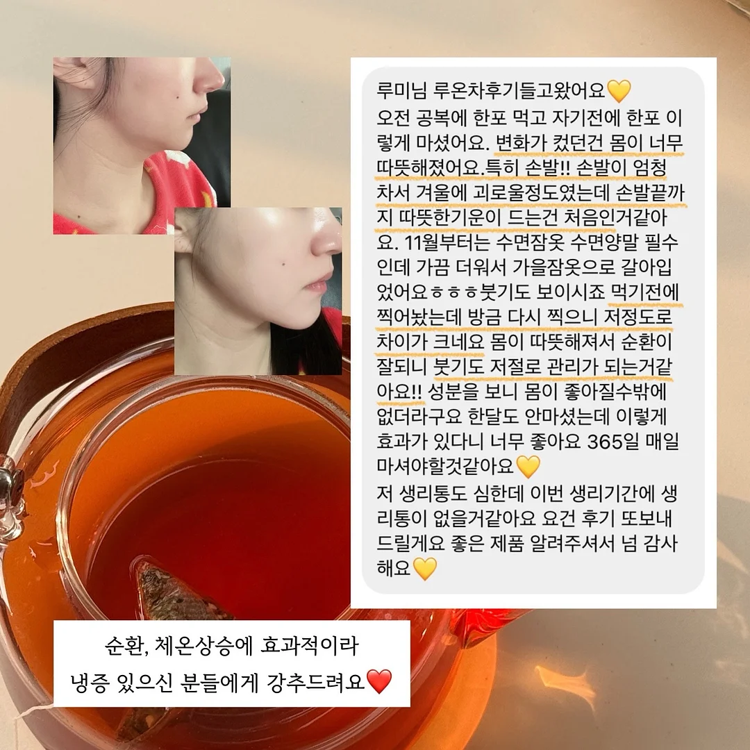 강아지 전용 지정석 베개 세트 10