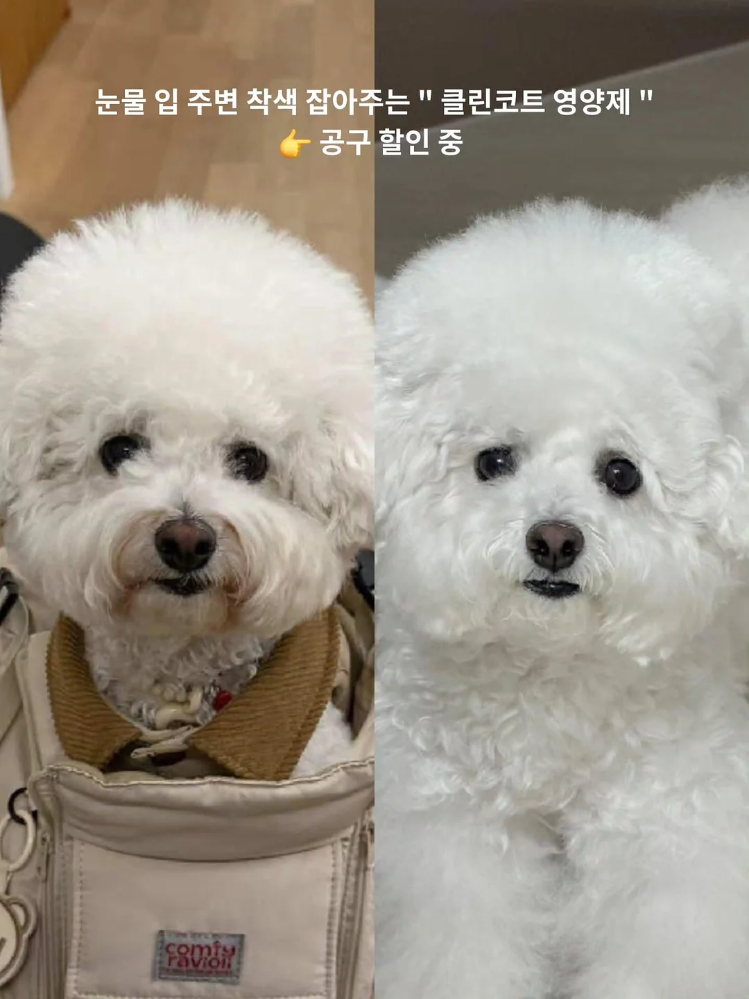 볼륨연장 속눈썹연장 1